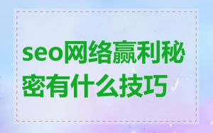 seo网络赢利秘密有什么技巧