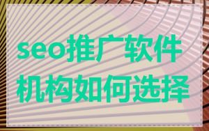 seo推广软件机构如何选择