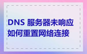 DNS 服务器未响应如何重置网络连接