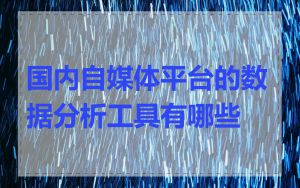 国内自媒体平台的数据分析工具有哪些