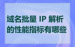 域名批量 IP 解析的性能指标有哪些