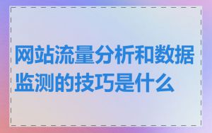 网站流量分析和数据监测的技巧是什么