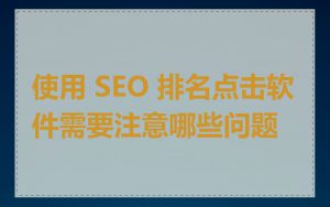 使用 SEO 排名点击软件需要注意哪些问题