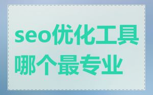 seo优化工具哪个最专业