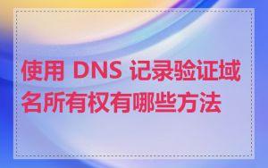 使用 DNS 记录验证域名所有权有哪些方法