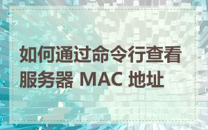 如何通过命令行查看服务器 MAC 地址