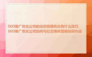 SEO推广优化公司的动态链接优化有什么技巧_SEO推广优化公司如何与社交媒体营销协同作战