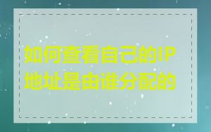 如何查看自己的IP地址是由谁分配的