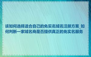 该如何选择适合自己的免实名域名注册方案_如何判断一家域名商是否提供真正的免实名服务