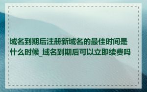 域名到期后注册新域名的最佳时间是什么时候_域名到期后可以立即续费吗