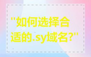 "如何选择合适的.sy域名?"