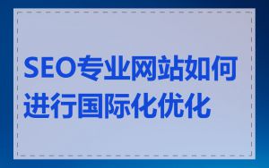 SEO专业网站如何进行国际化优化