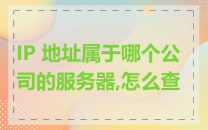 IP 地址属于哪个公司的服务器,怎么查
