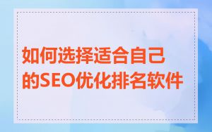 如何选择适合自己的SEO优化排名软件