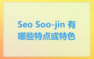 Seo Soo-jin 有哪些特点或特色