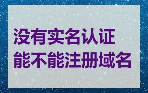 没有实名认证能不能注册域名