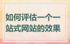 如何评估一个一站式网站的效果