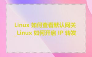 Linux 如何查看默认网关_Linux 如何开启 IP 转发