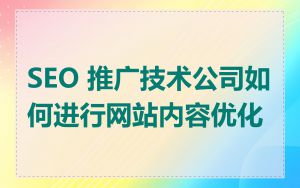 SEO 推广技术公司如何进行网站内容优化