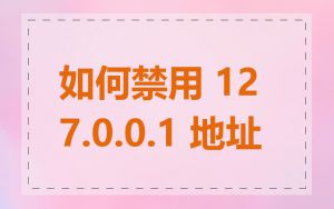 如何禁用 127.0.0.1 地址