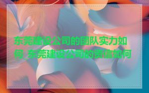 东莞建设公司的团队实力如何_东莞建设公司的资信如何