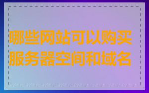 哪些网站可以购买服务器空间和域名