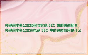 关键词排名公式如何与其他 SEO 策略协调配合_关键词排名公式在电商 SEO 中的具体应用是什么
