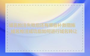 域名抢注失败后还有哪些补救措施_域名抢注成功后如何进行域名转让