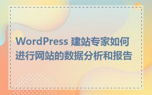 WordPress 建站专家如何进行网站的数据分析和报告
