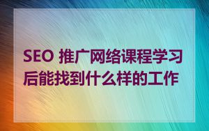 SEO 推广网络课程学习后能找到什么样的工作
