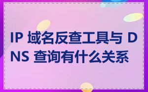 IP 域名反查工具与 DNS 查询有什么关系