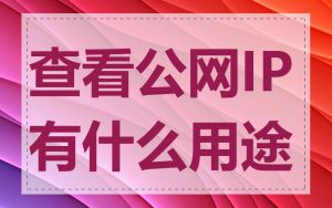 查看公网IP有什么用途