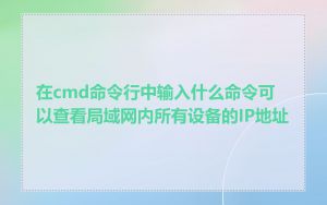 在cmd命令行中输入什么命令可以查看局域网内所有设备的IP地址