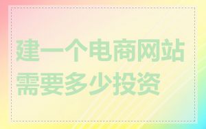建一个电商网站需要多少投资