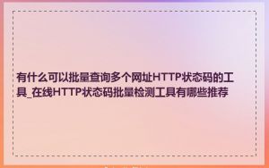 有什么可以批量查询多个网址HTTP状态码的工具_在线HTTP状态码批量检测工具有哪些推荐