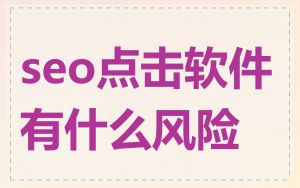 seo点击软件有什么风险