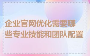 企业官网优化需要哪些专业技能和团队配置