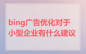 bing广告优化对于小型企业有什么建议