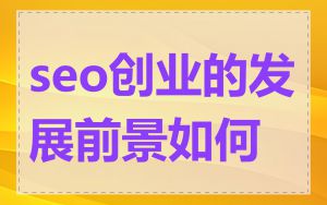 seo创业的发展前景如何