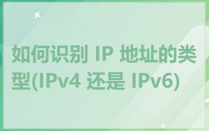 如何识别 IP 地址的类型(IPv4 还是 IPv6)