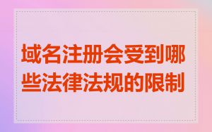 域名注册会受到哪些法律法规的限制