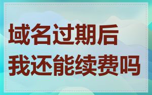 域名过期后我还能续费吗