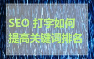 SEO 打字如何提高关键词排名