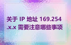 关于 IP 地址 169.254.x.x 需要注意哪些事项