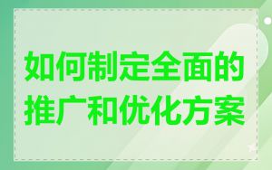 如何制定全面的推广和优化方案