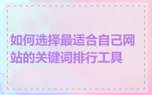 如何选择最适合自己网站的关键词排行工具