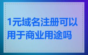 1元域名注册可以用于商业用途吗