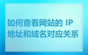 如何查看网站的 IP 地址和域名对应关系