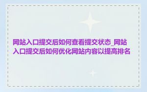 网站入口提交后如何查看提交状态_网站入口提交后如何优化网站内容以提高排名