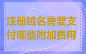注册域名需要支付哪些附加费用